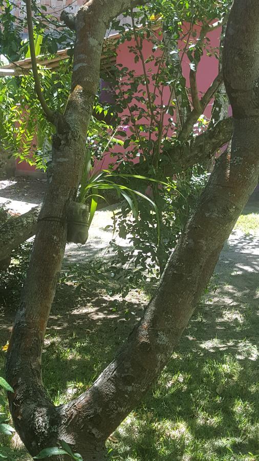 Pousada Grafite Trancoso Eksteriør billede