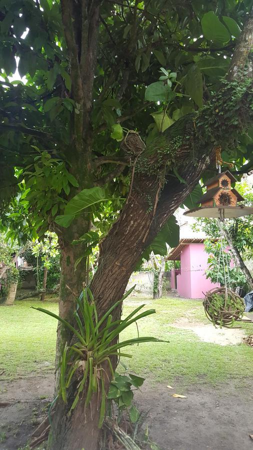 Pousada Grafite Trancoso Eksteriør billede